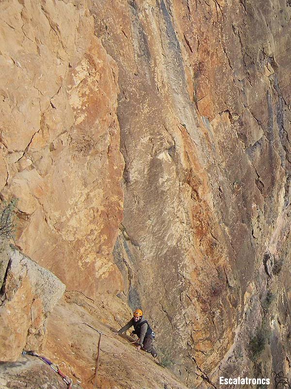 Bonica segona tirada